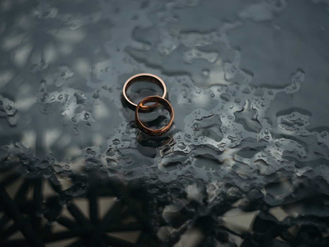 Два обручальных кольца лежат на мокрой черной поверхности 