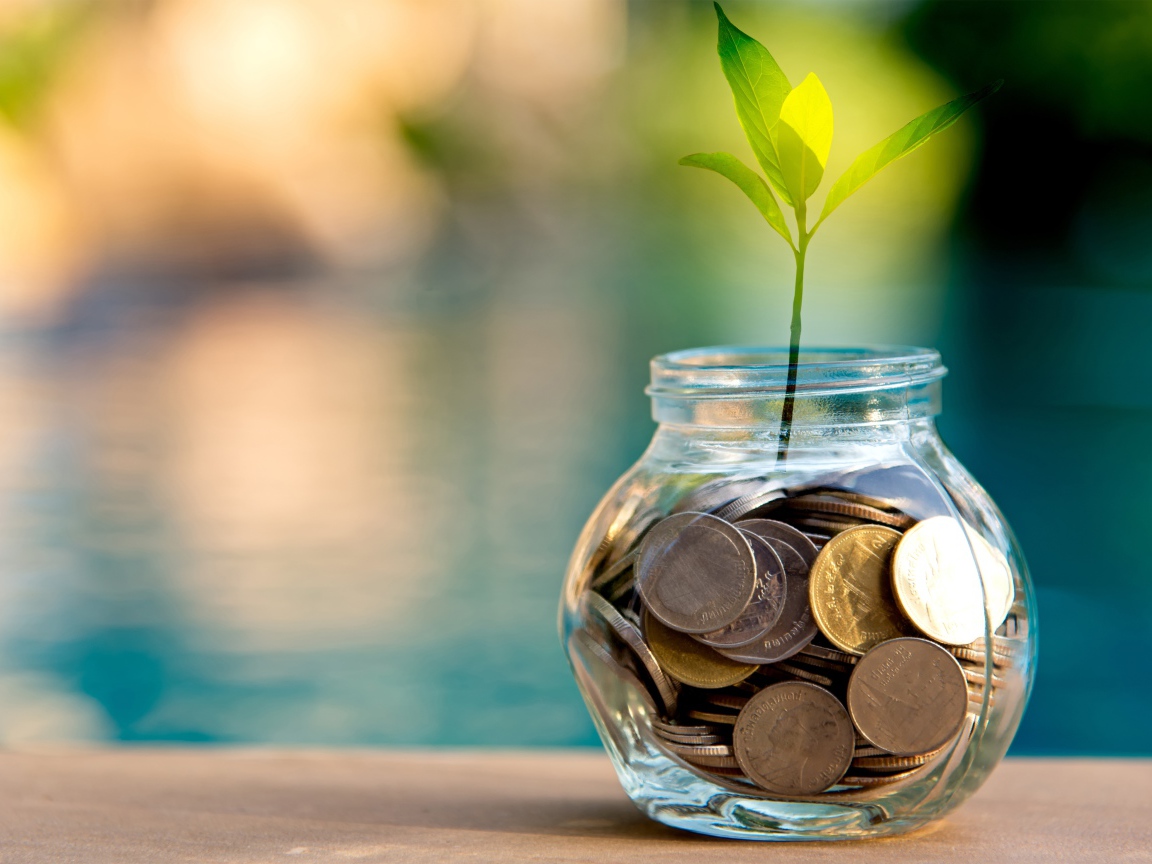 Зеленый росток прорастает из копилки 