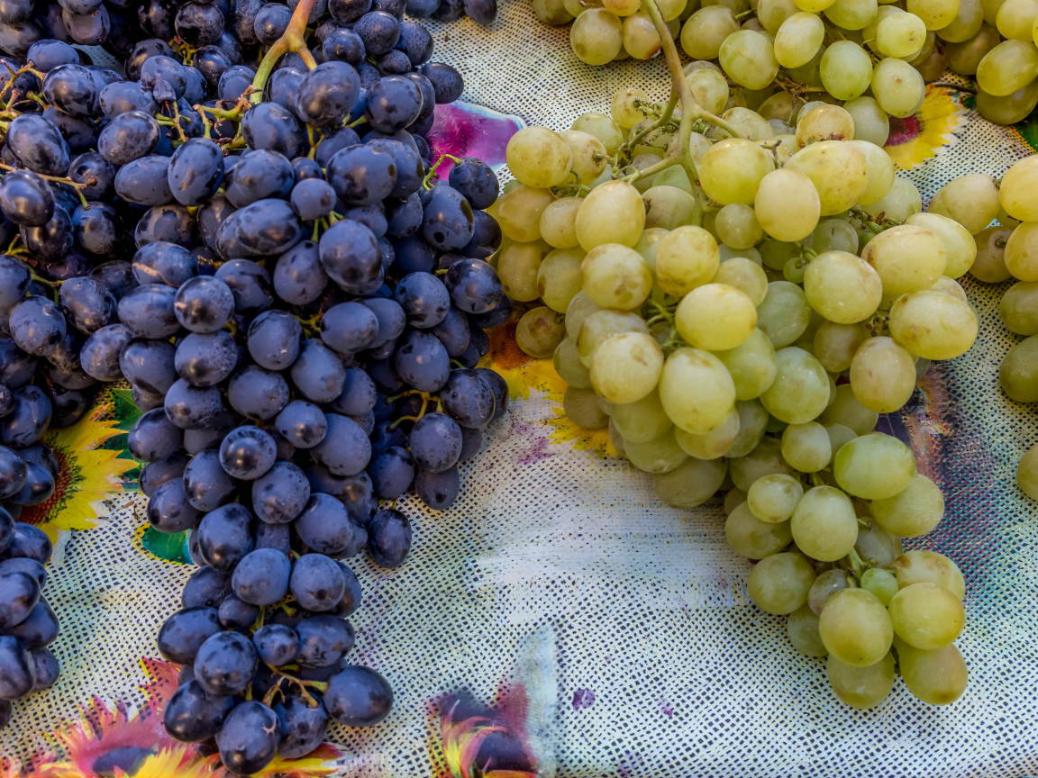 Большие гроздья синего и белого винограда на столе
