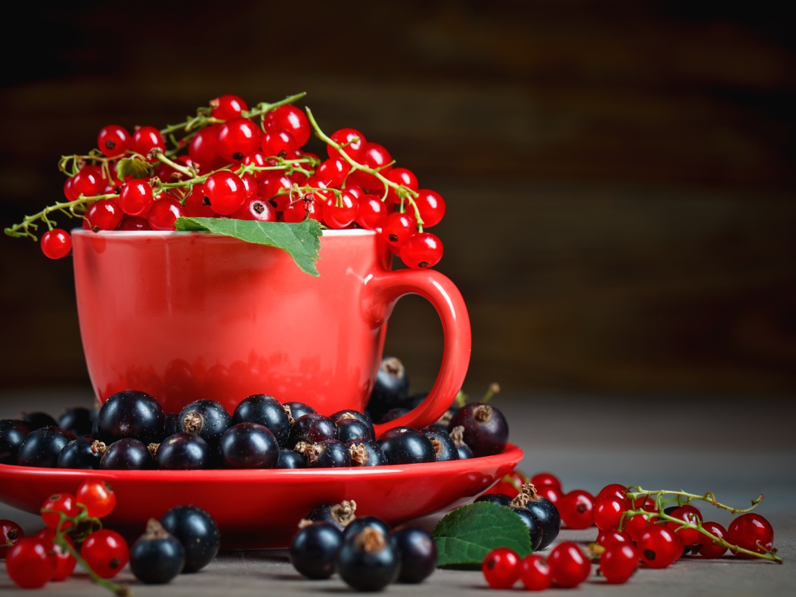 Красная смородина в чашке на блюдце с черной смородиной