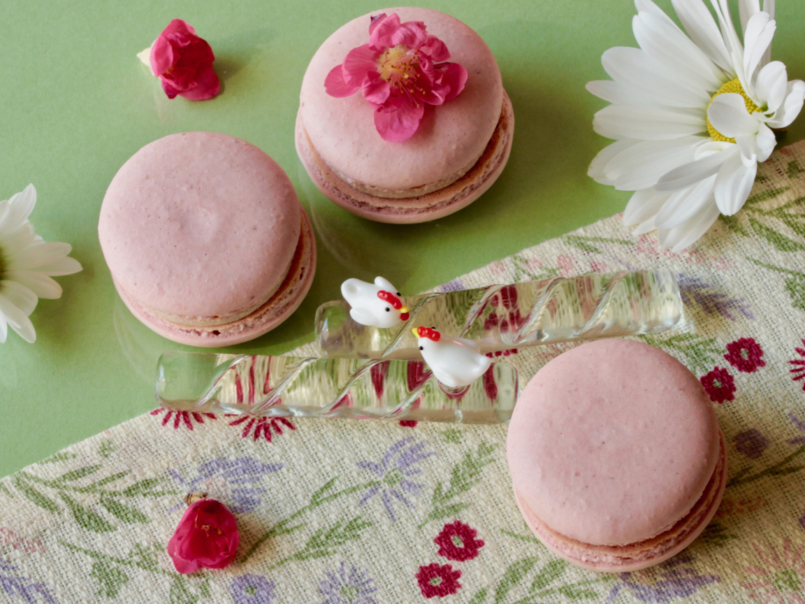 Розовый десерт макарон на столе с белыми цветами ромашек
