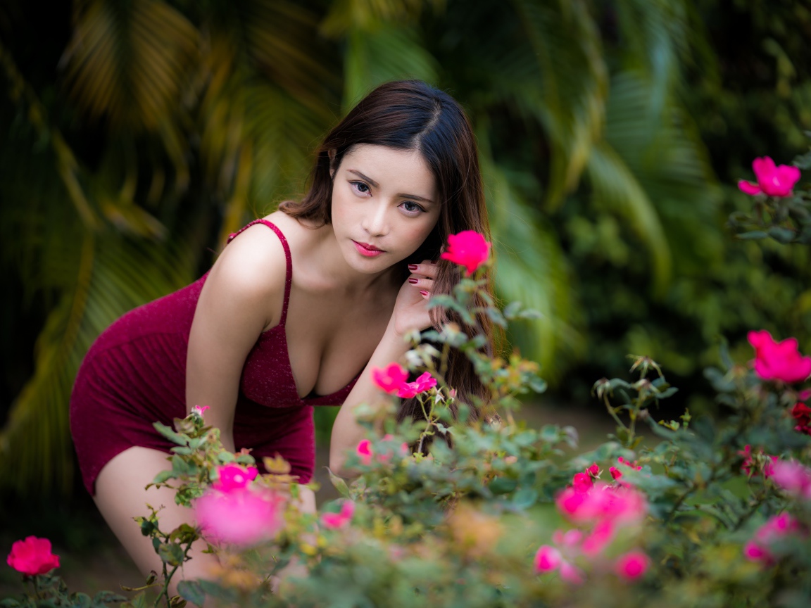 Девушка азиатка в красивом красном платье у куста роз