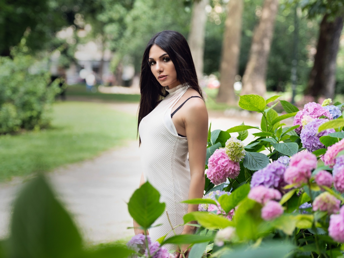 Красивая брюнетка стоит рядом с кустом гортензии