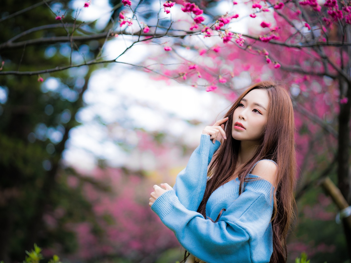 Красивая длинноволосая азиатка у дерева сакуры