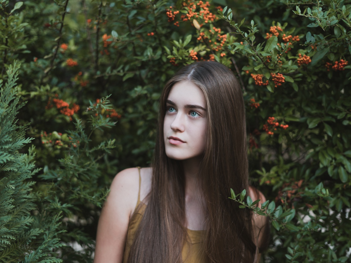 Молодая нежная девушка с длинными волосами в зеленых зарослях 