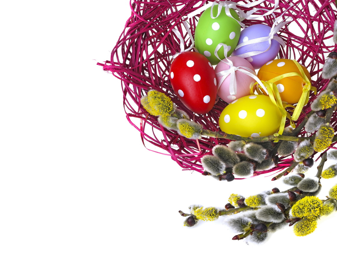 Крашеные пасхальные яйца в гнезде на белом фоне с веткой вербы