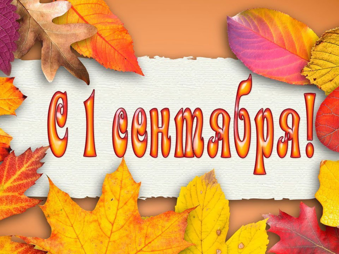 Желтые листья на 1 сентября день знаний