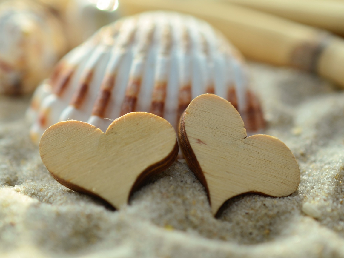Два деревянных сердца и ракушки лежат на песке