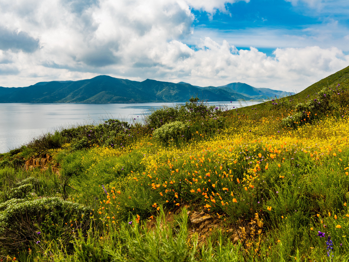 Зеленая трава на берегу озера у гор под голубым небом с облаками 