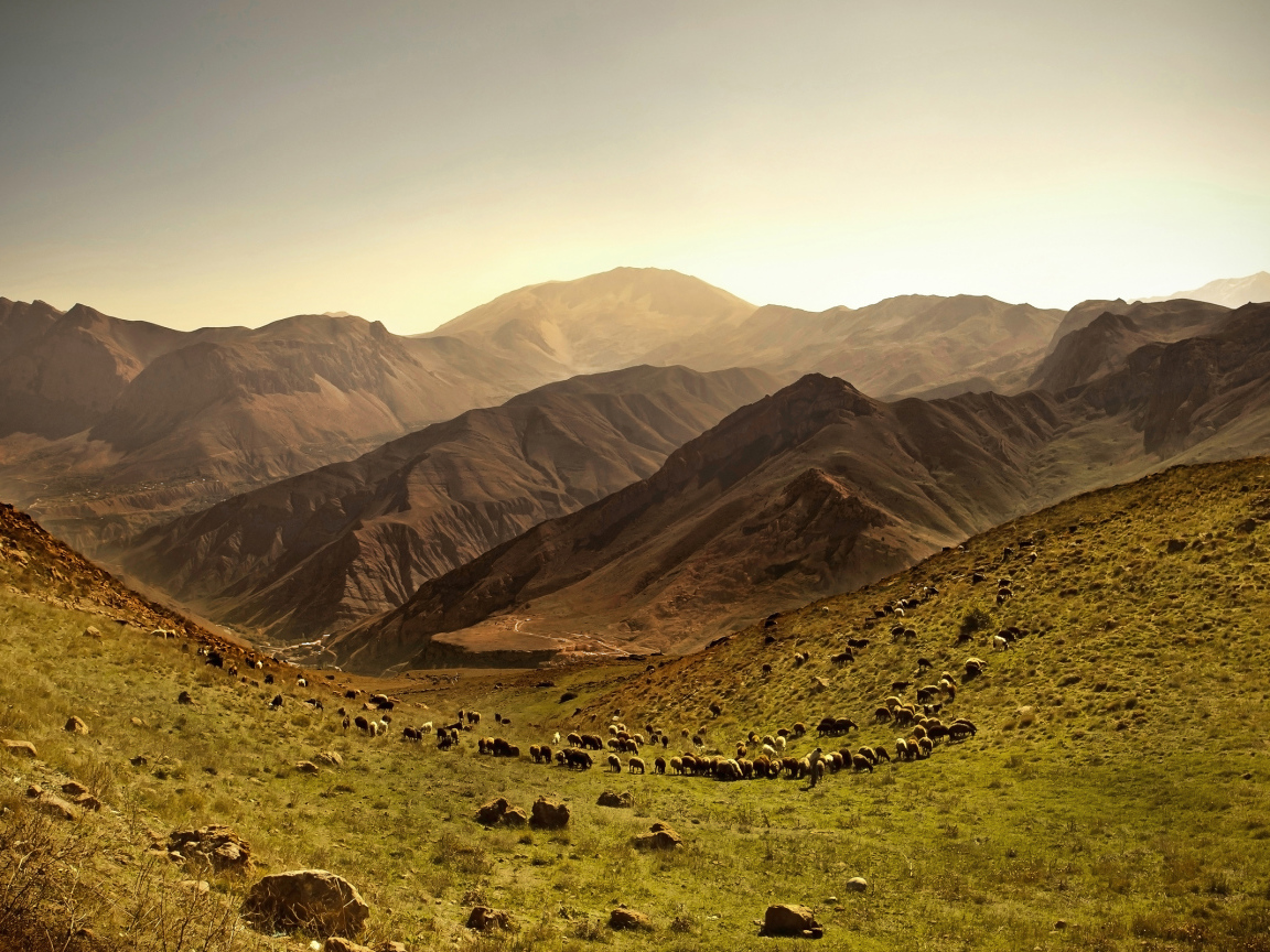 Покрытые травой холмы у гор 