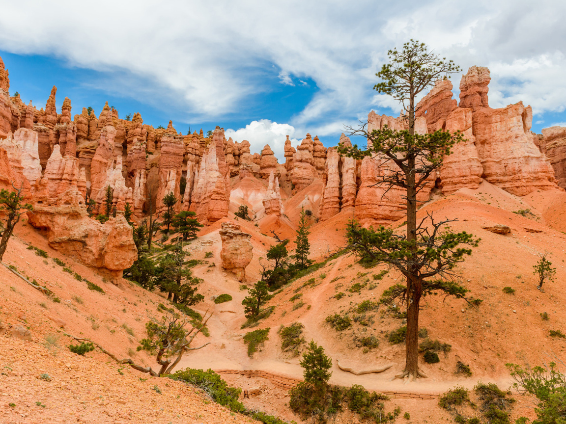 Живописный Брайс-Каньон под красивым небом, штат Юта, США