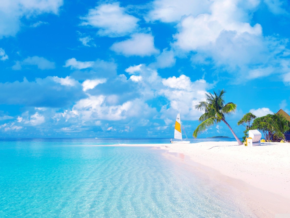 Красивый тропический пляж  с желтым песком под голубым небом