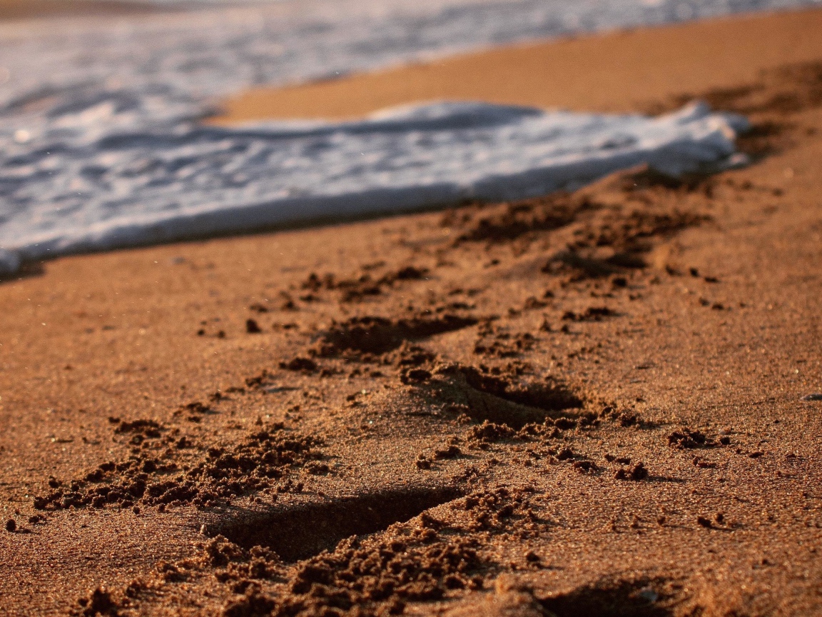 Следы на мокром морском песке с белой пеной