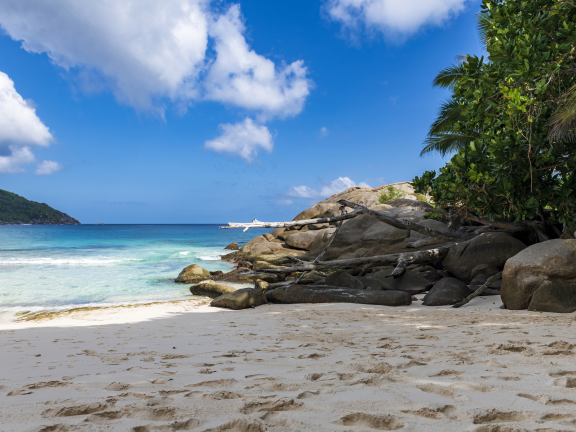 Камни на берегу океана на желтом песке под голубым небом