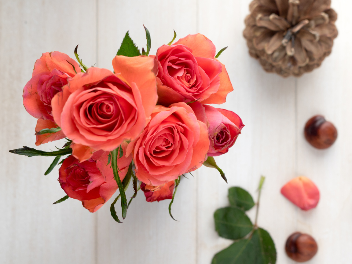 Букет розовых роз на столе с каштанами и шишкой