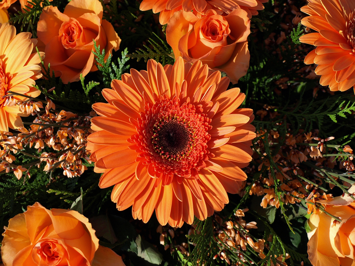 Букет оранжевых гербер с розами 