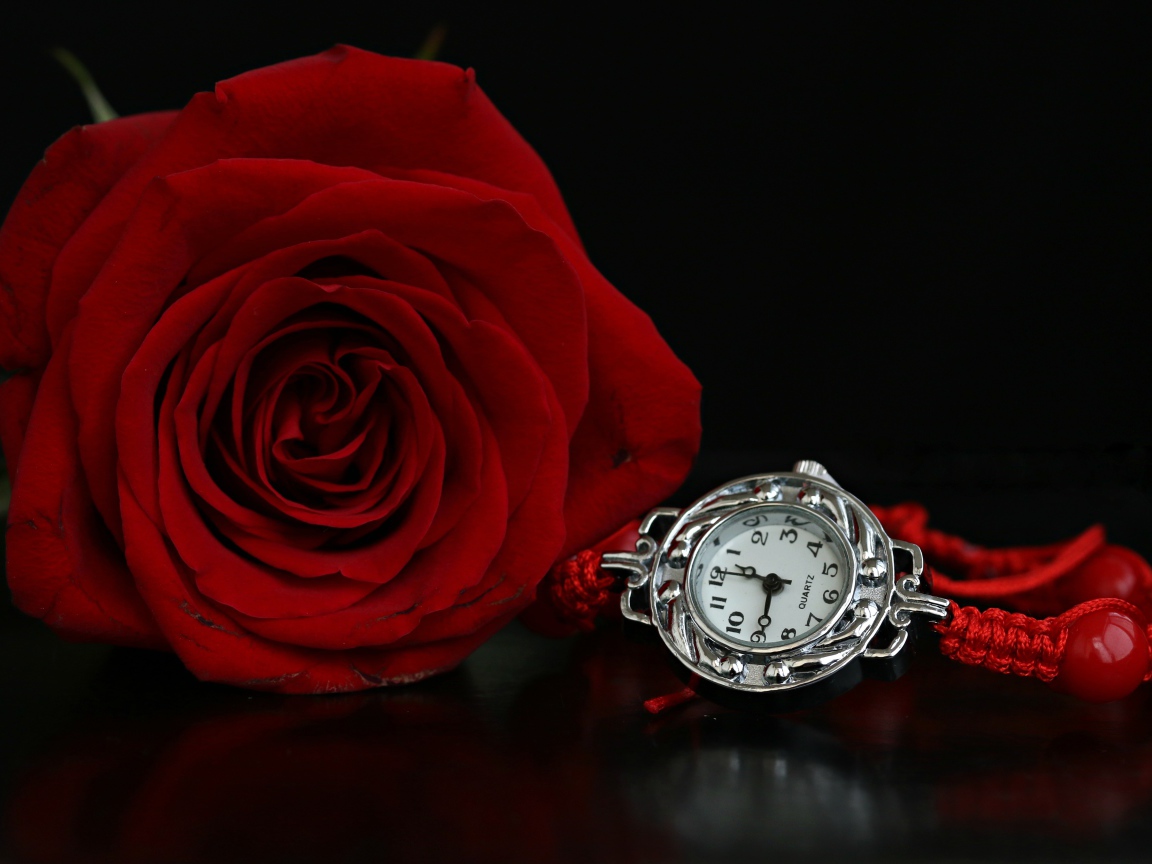 Красная роза с часами на черном фоне