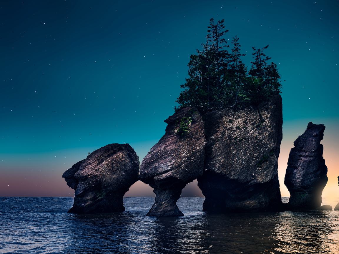 Скалы с деревьями в воде ночью 