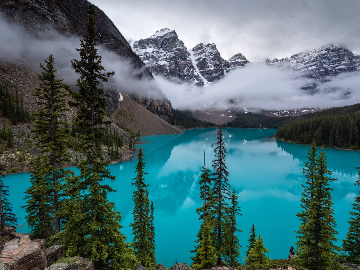 Туман над голубой водой озера в горах у леса