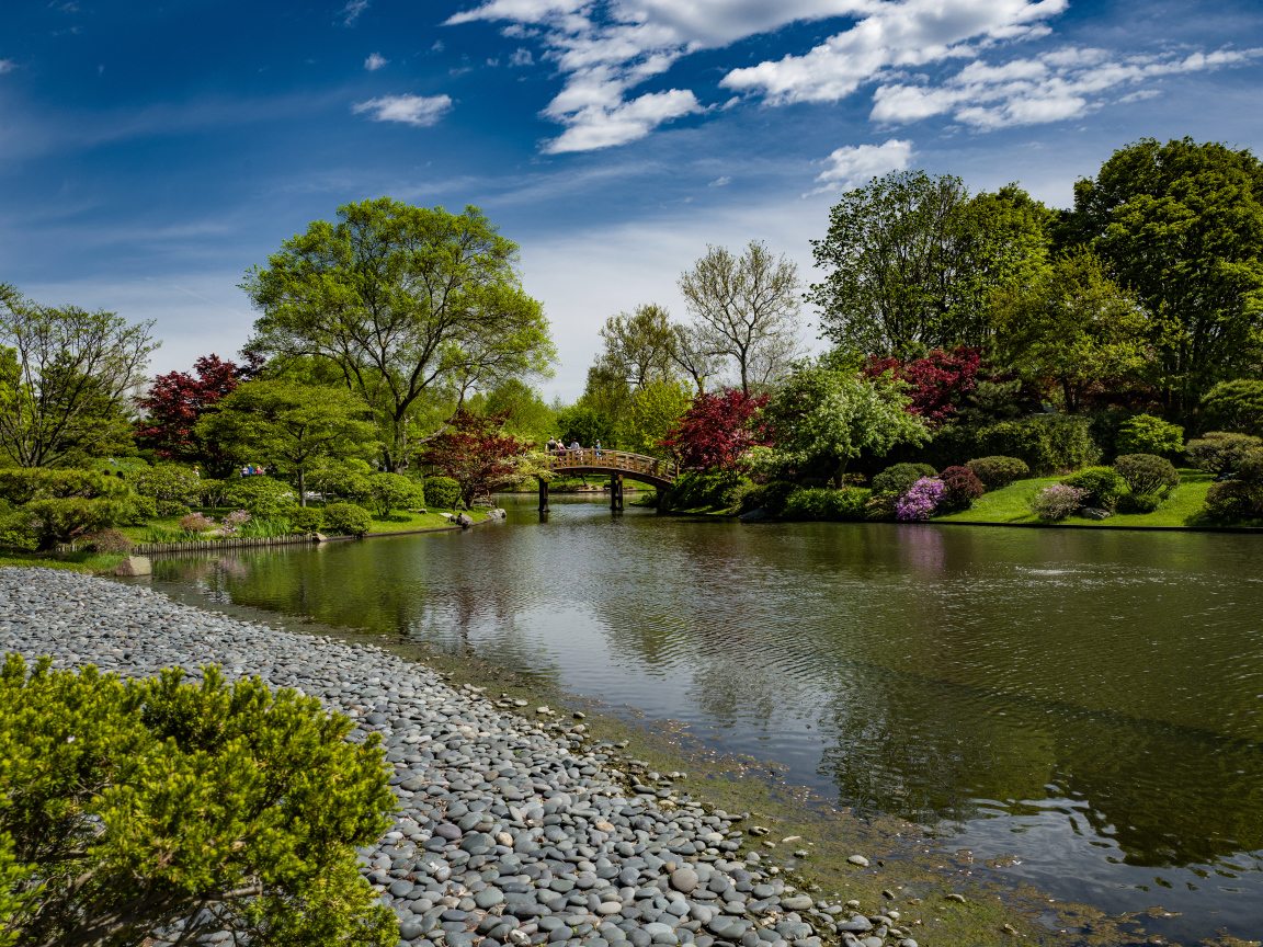 Камни на берегу реки в парке с зелеными деревьями