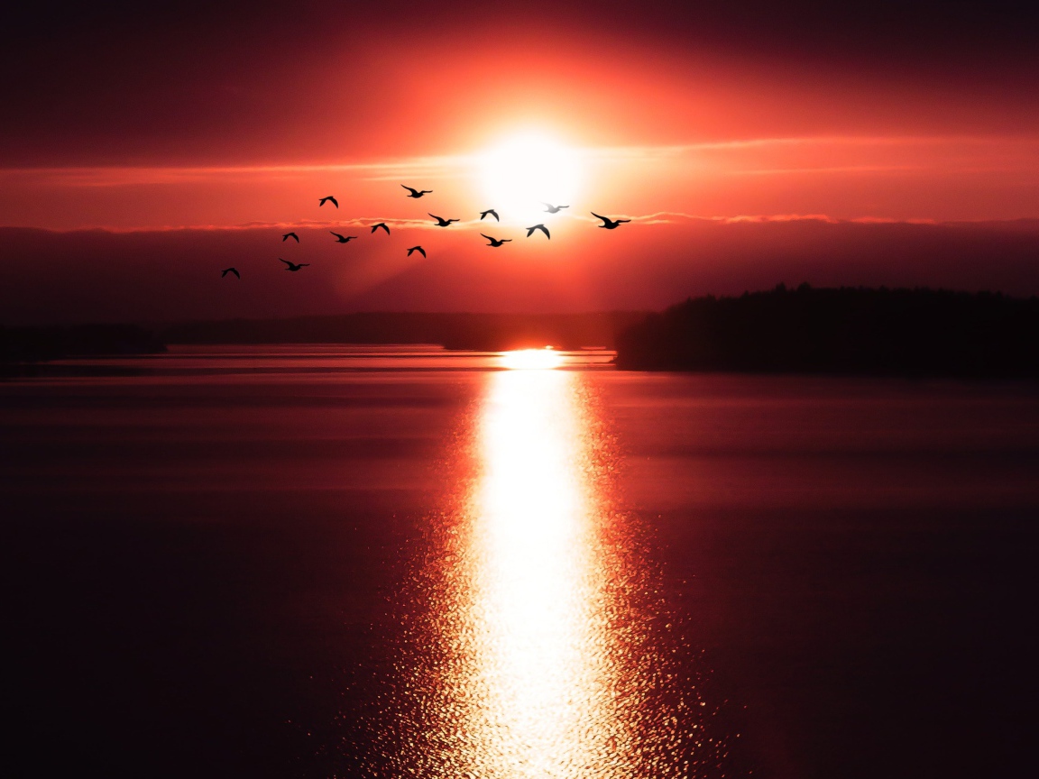 Солнце на закате оставляет дорожку на воде