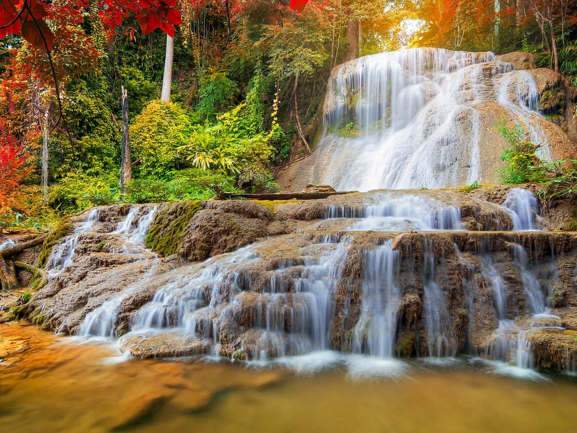 Белая быстрая вода водопада стекает по земле в лесу