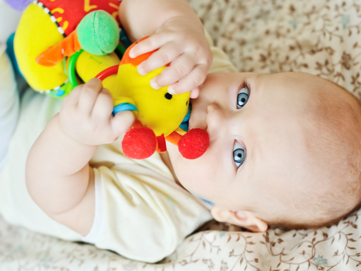 Маленький голубоглазый ребенок грызет игрушку