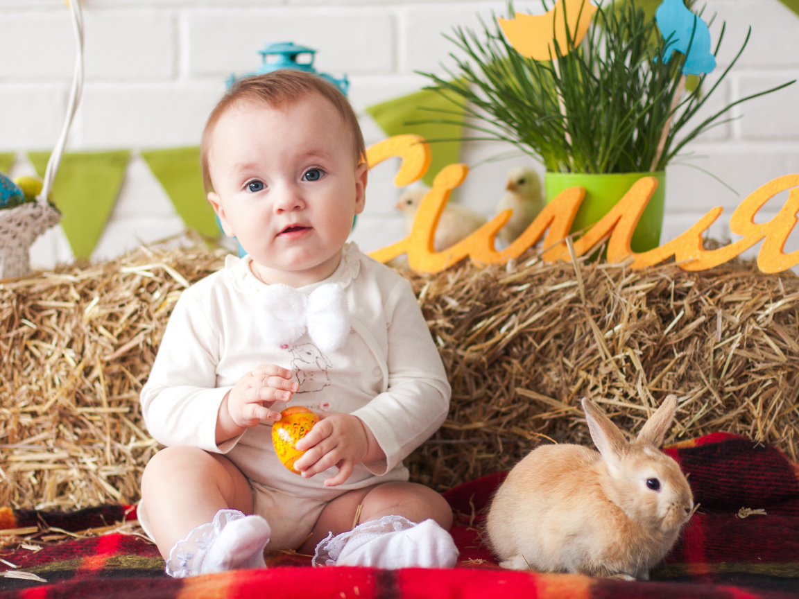 Маленький ребенок с крашеным яйцом и декоративным кроликом