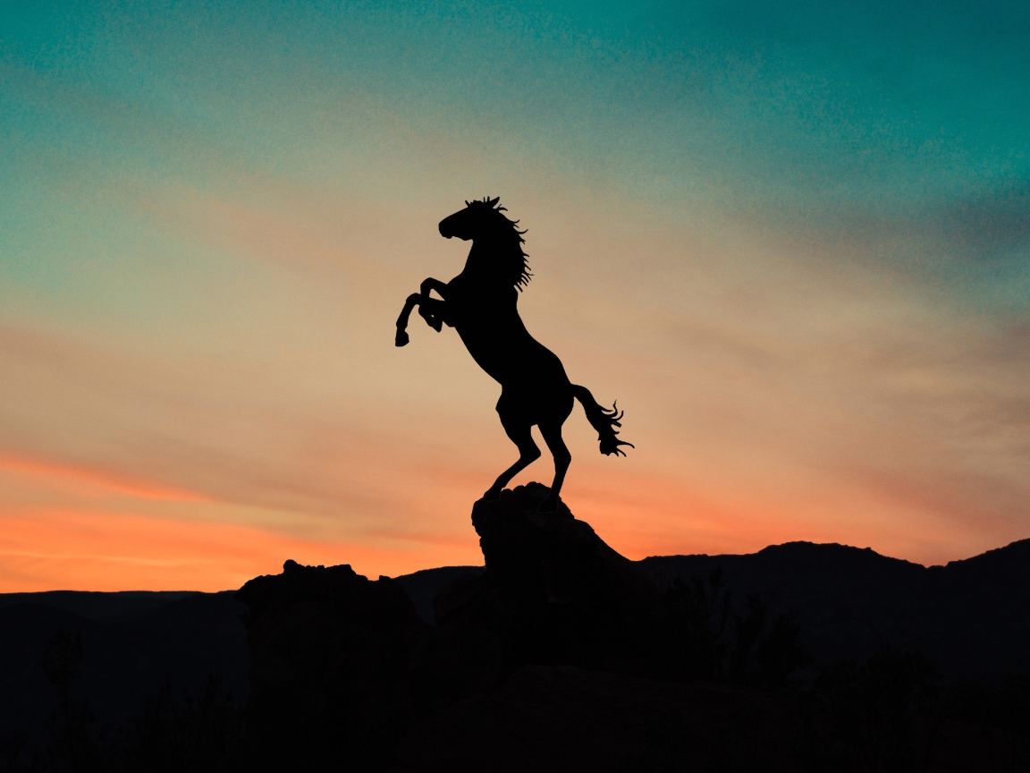 Horse silhouette on top of a mountain at sunset