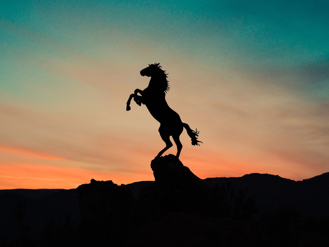 Силуэт коня на вершине горы на закате 