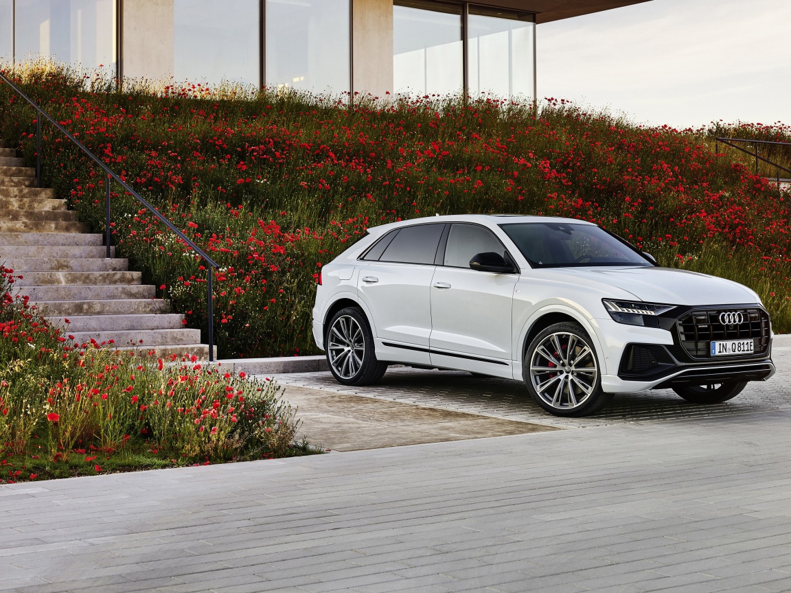 Белый автомобиль Audi Q8 60 TFSI E Quattro S Line 2020 года