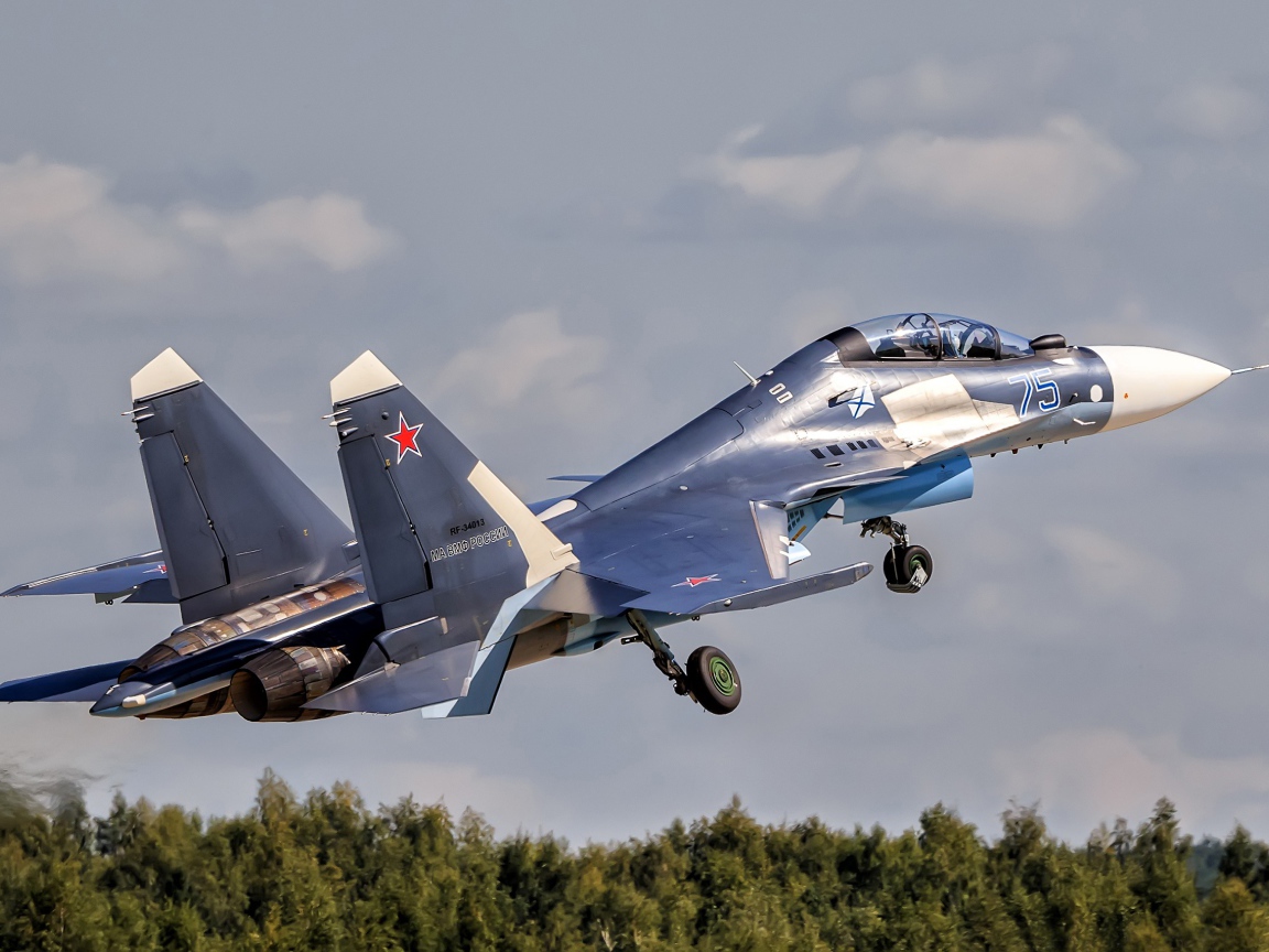 Истребитель Су-30 Su-30SM взлетает в небо 
