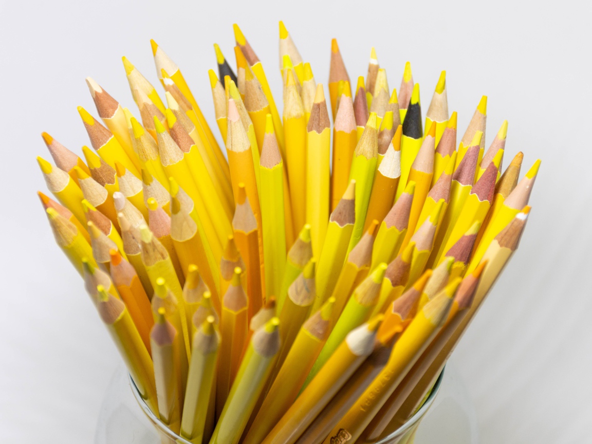 Много желтых карандашей на белом фоне крупным планом