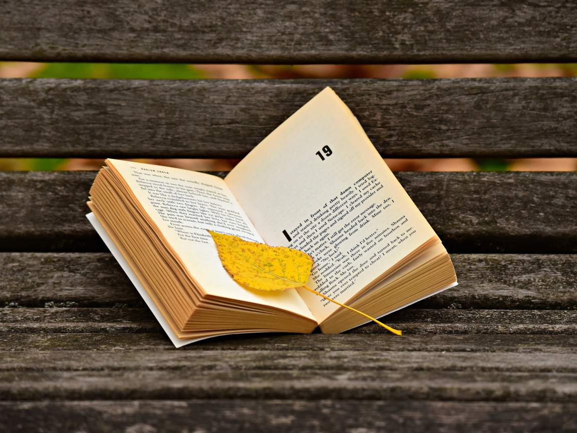 Open book with yellow sheet on the bench