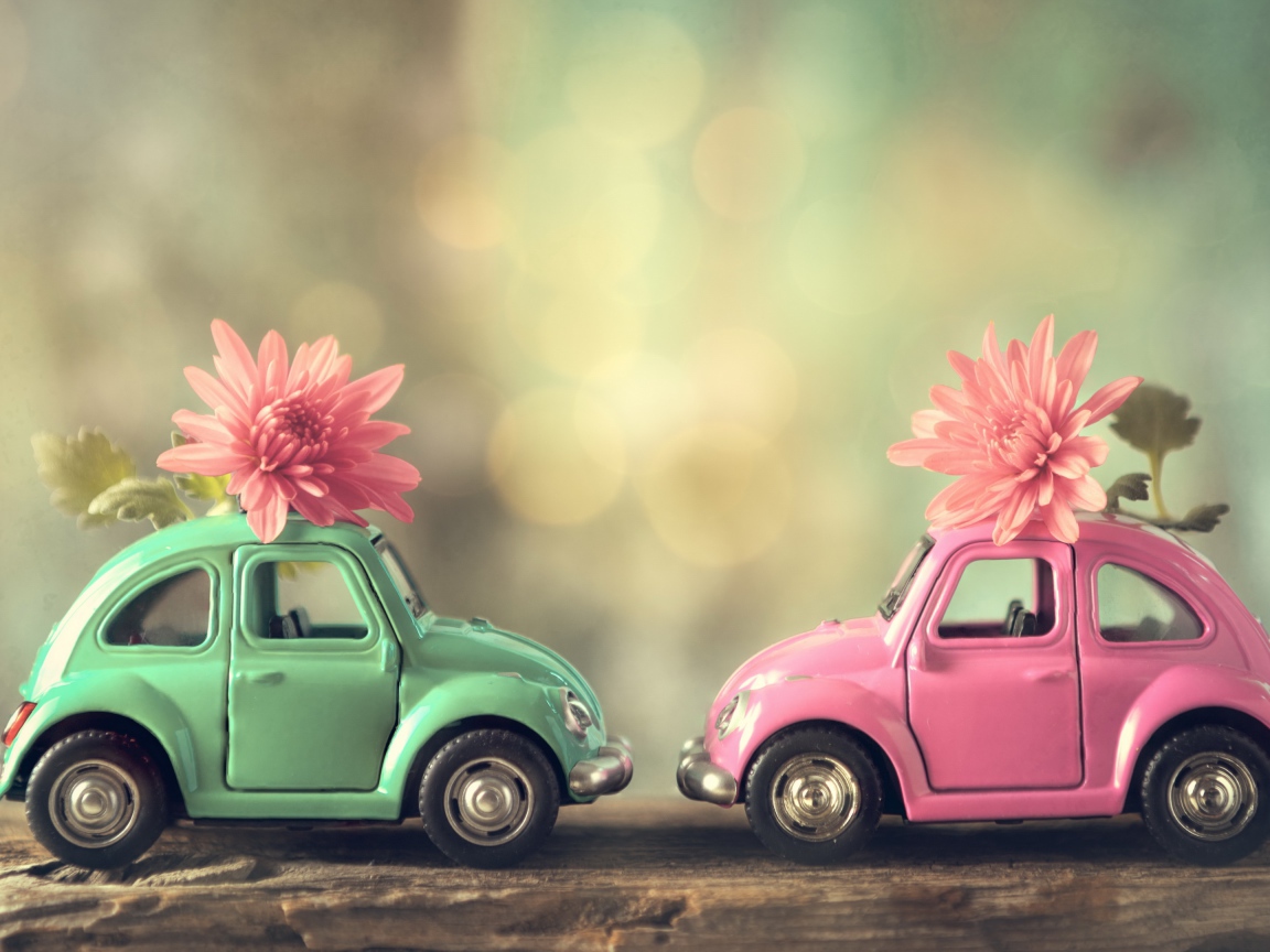 Две игрушечные машинки с цветами розовой хризантемы