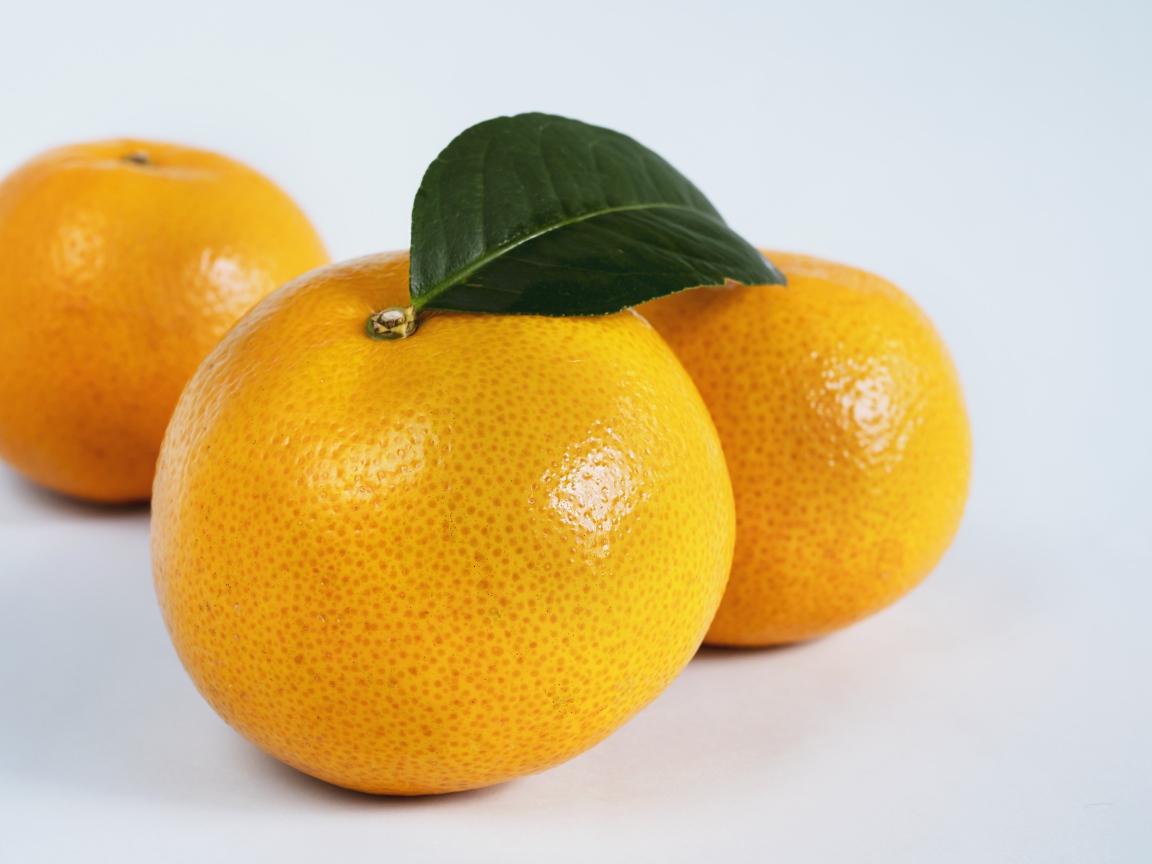 Три крупных спелых мандарина на сером фоне