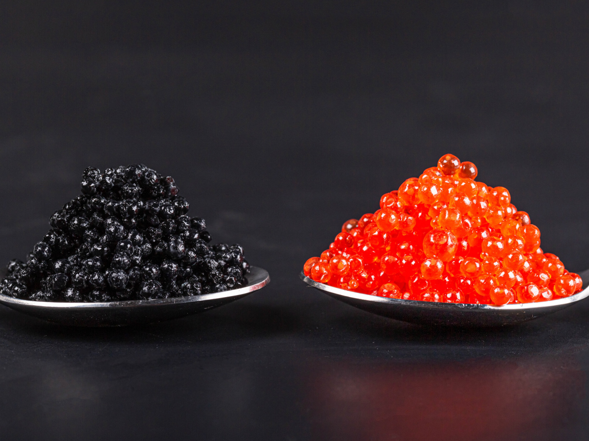 Красная и черная икра на ложках на сером фоне