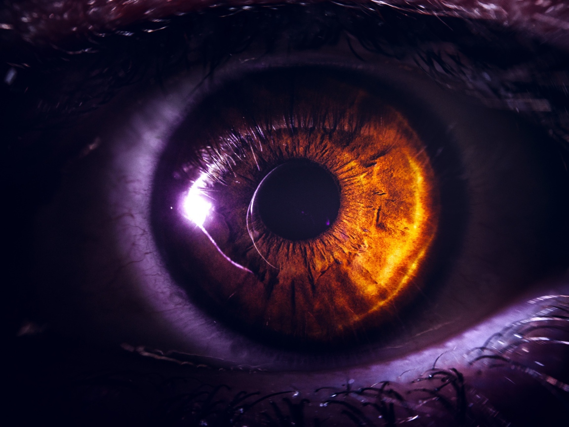 Карий глаз девушки крупным планом