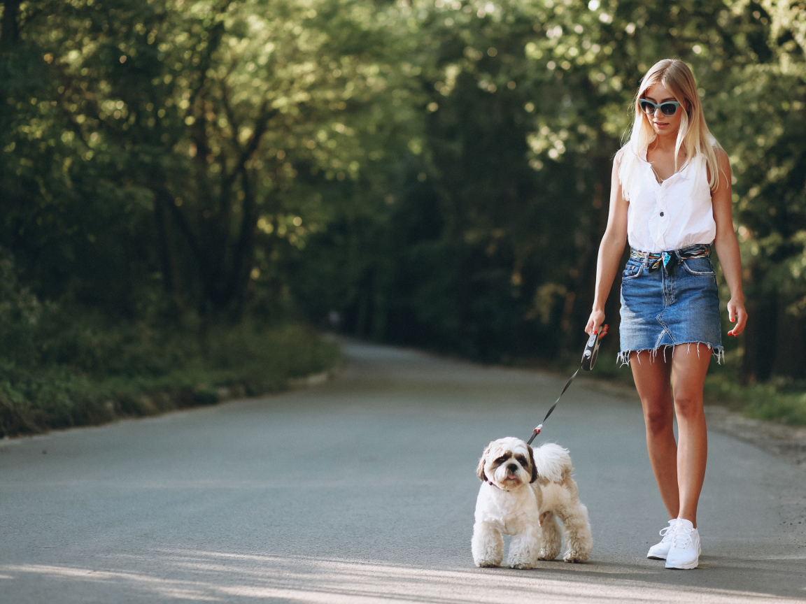 Красивая блондинка идет по дороге с собакой