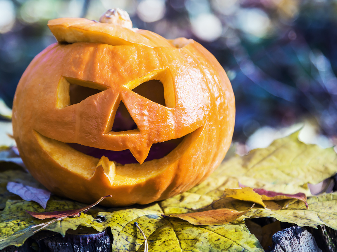 Тыква на Хэллоуин стоит на листке