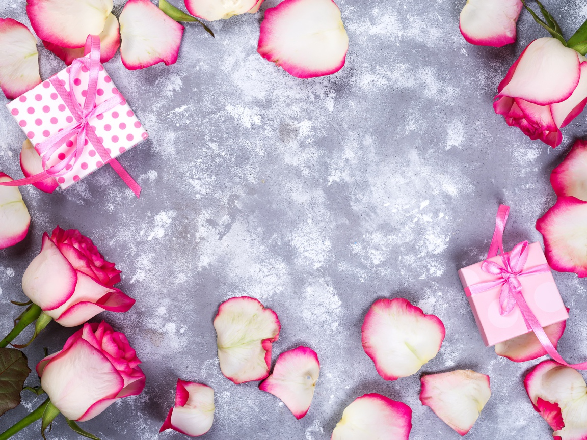 Красивые розовые розы с лепестками и подарками