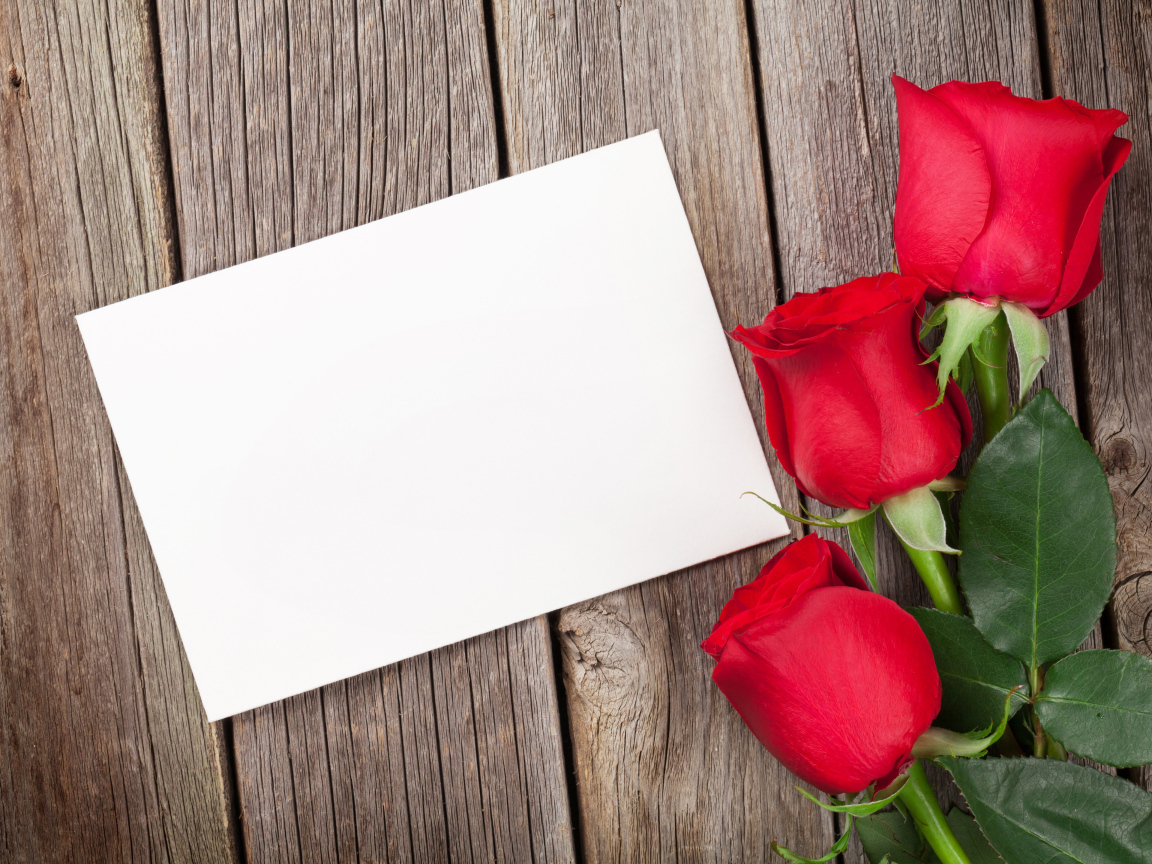 Три красные розы и лист бумаги, шаблон поздравительной открытки
