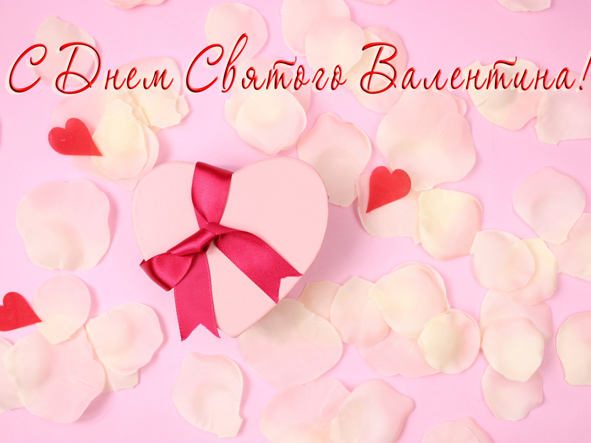 Подарок и лепестки розовой розы открытка С Днем Святого Валентина