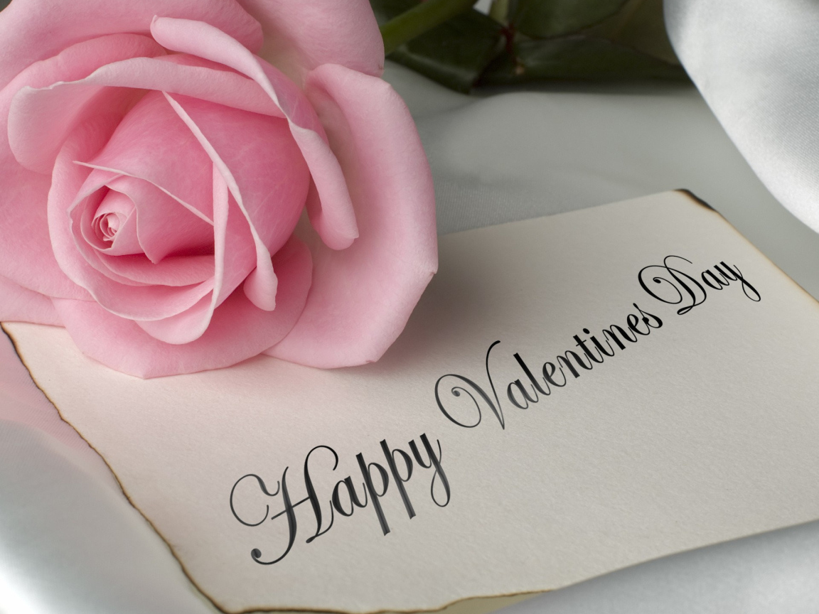 Розовая роза и открытка на День Святого Валентина 