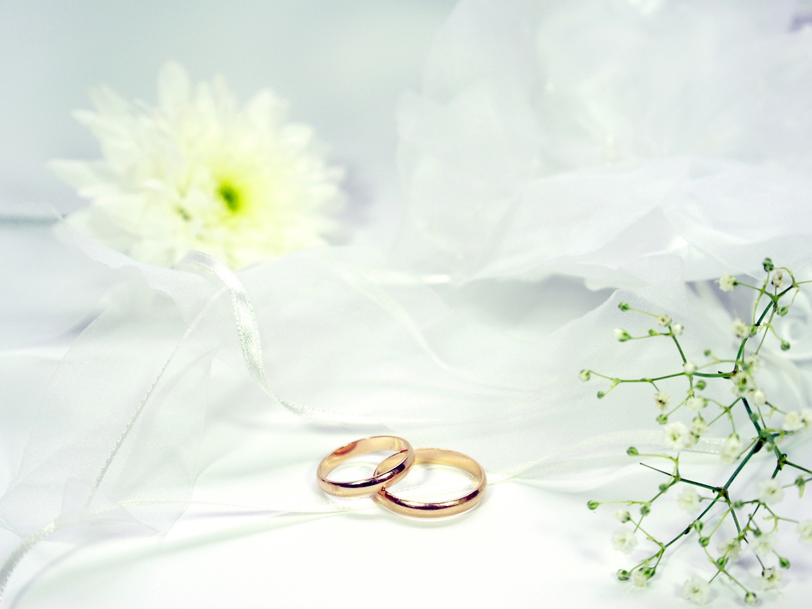 Два золотых обручальных кольца на белом фоне с цветами