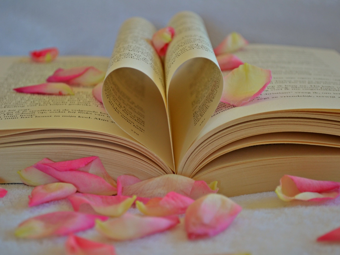Сердце из листов книги с лепестками розы 