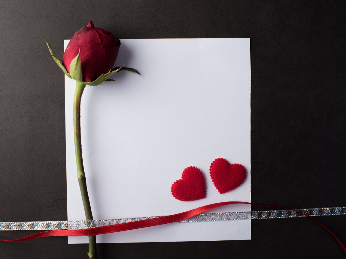 Белый лист бумаги, роза и ленточки на сером фоне