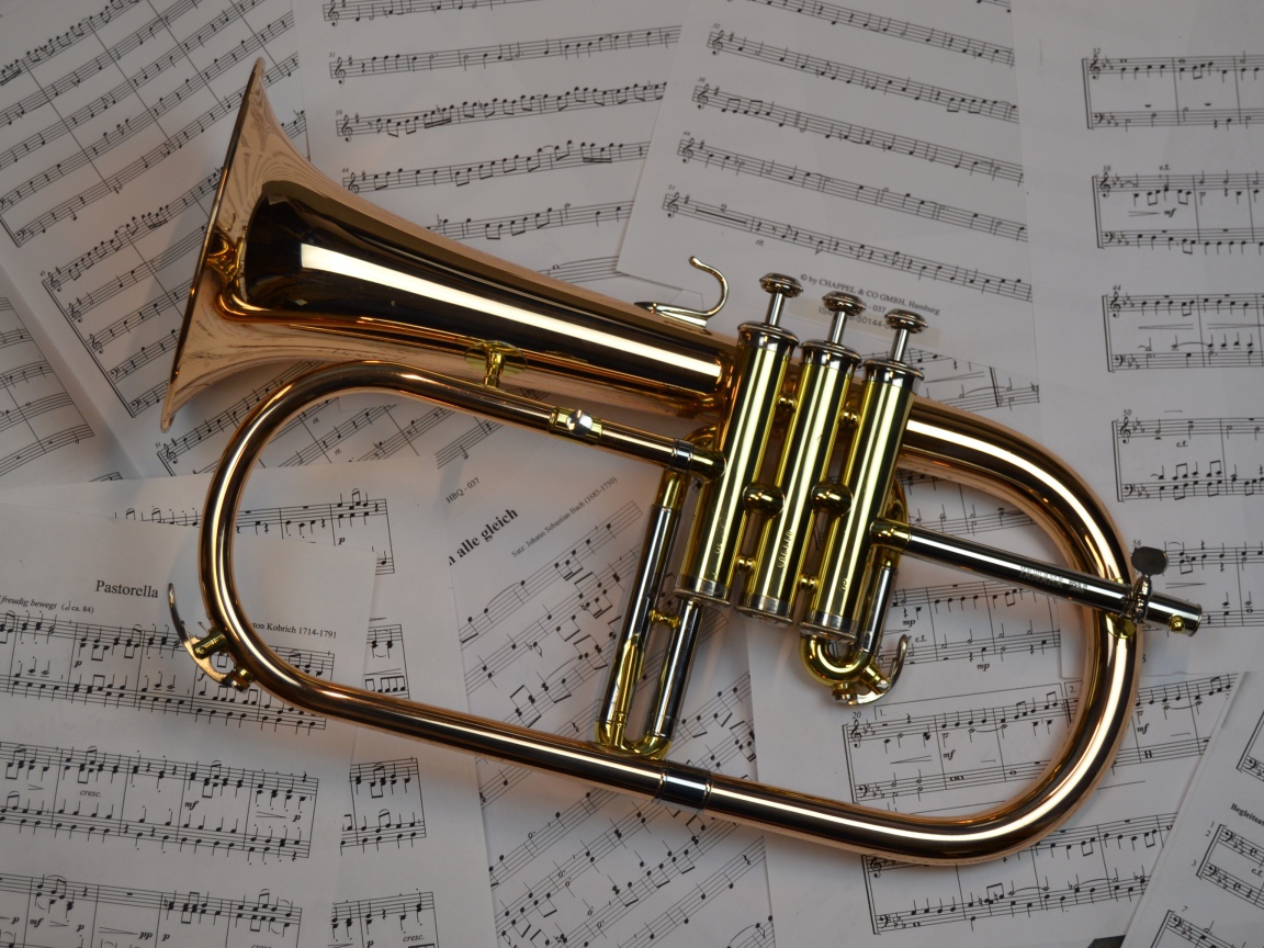 Музыкальный инструмент труба лежит на нотах 