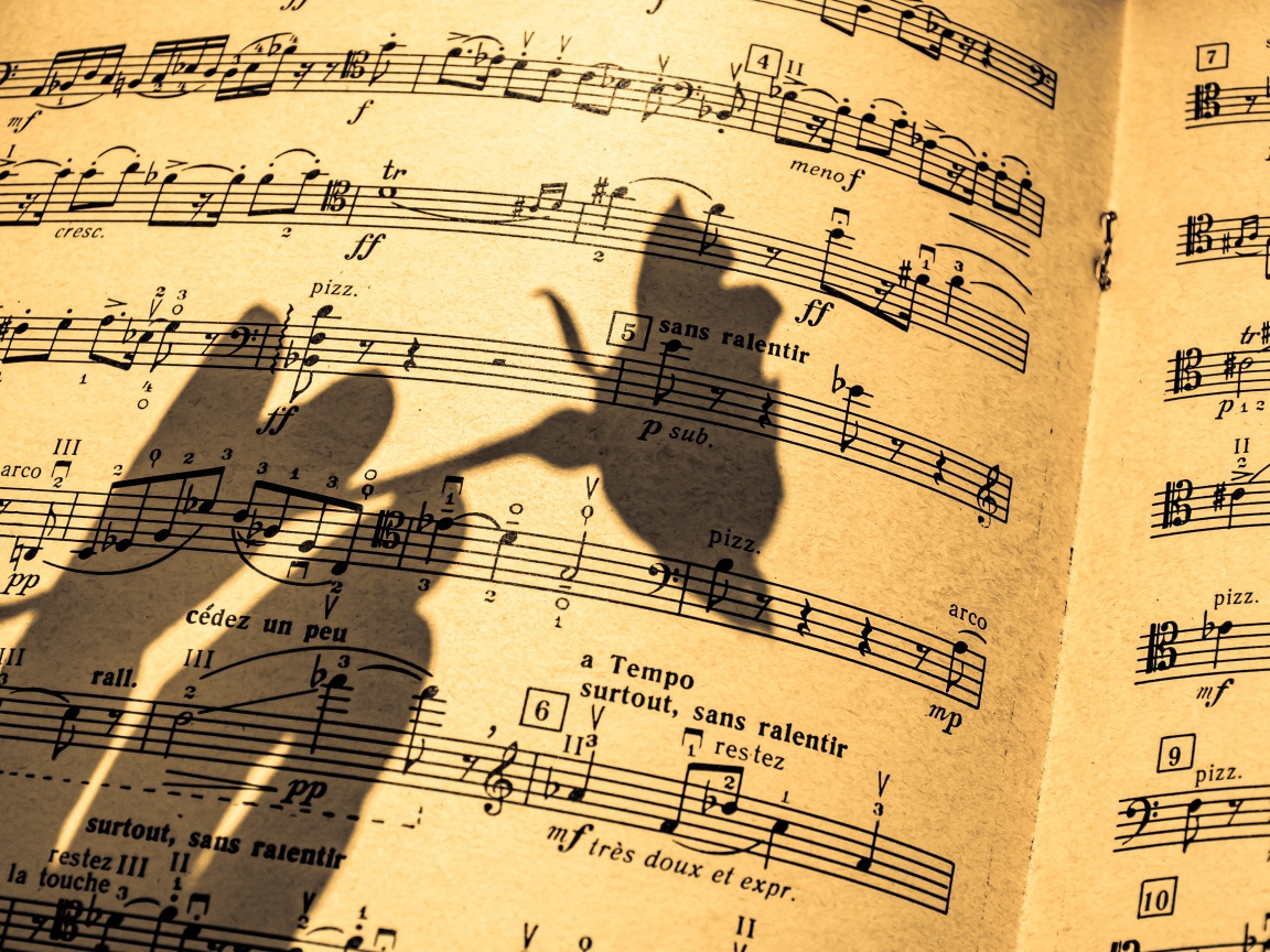 Тень розы на нотной тетради 