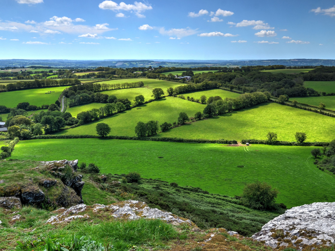 Красивые зеленые луга в лучах солнца под голубым небом